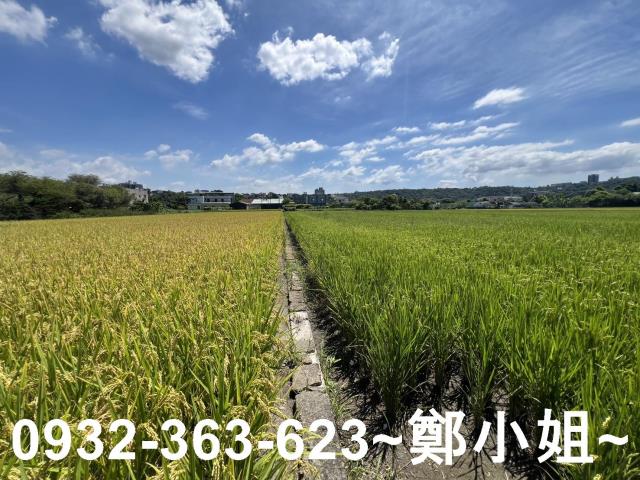 大溪農地-1