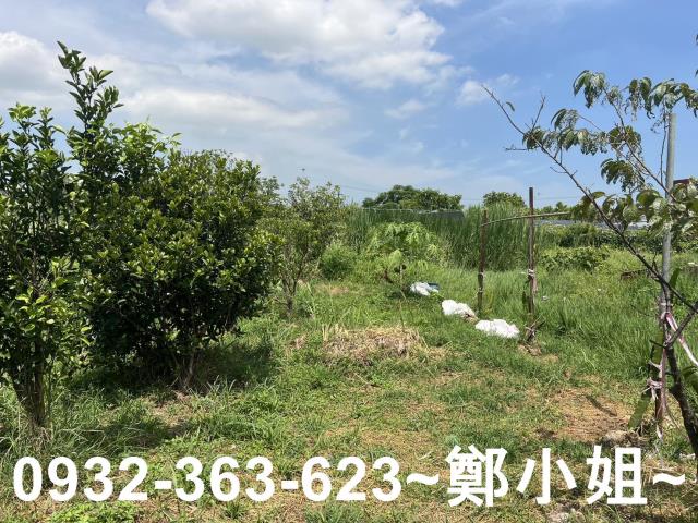 蘆竹農地-0