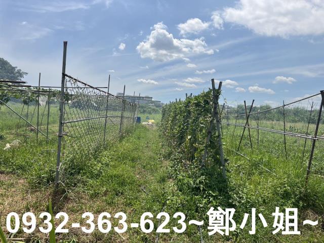 蘆竹農地-2