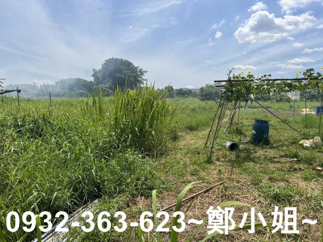 蘆竹農地-4