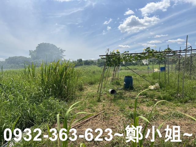 蘆竹農地-6
