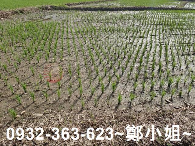 桃園區農地-2