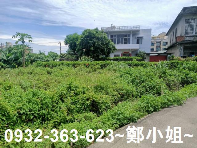 桃園區農地-1