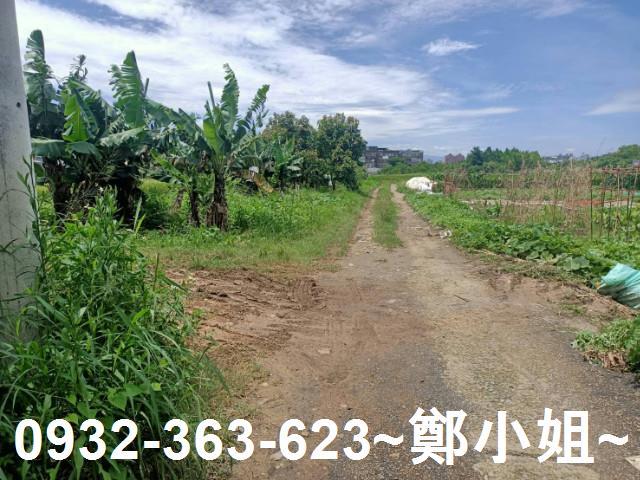 桃園區農地-2