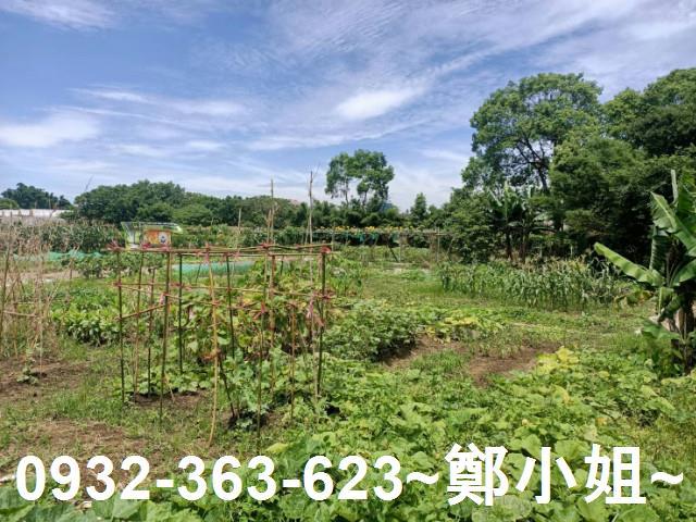 桃園區農地-3