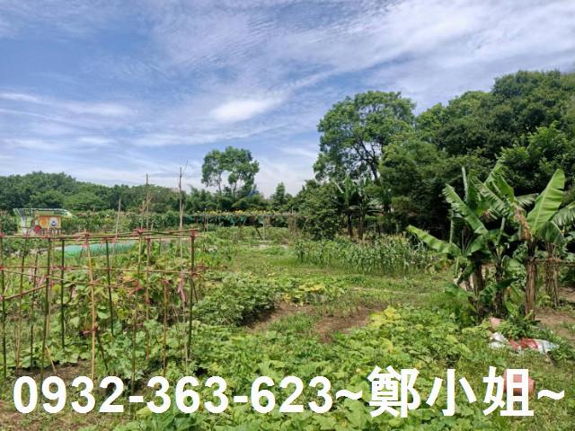 桃園區農地-4