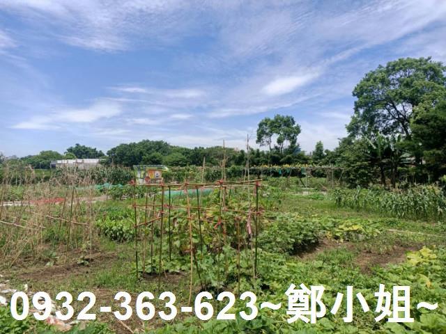 桃園區農地-5