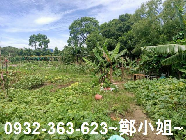 桃園區農地-6