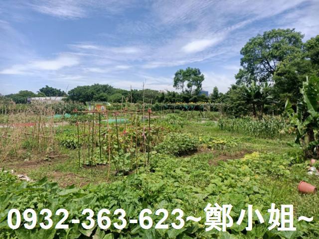 桃園區農地-8