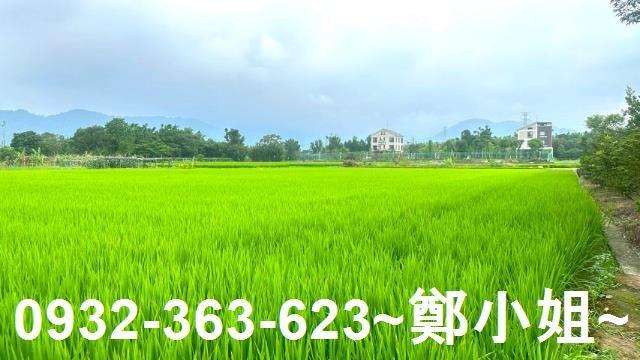 龍潭農地-9