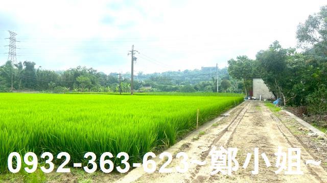 龍潭農地-10
