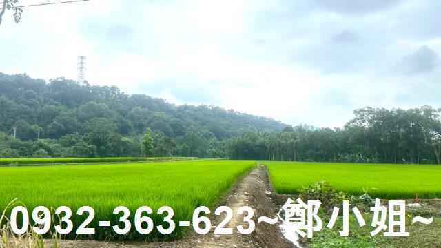 龍潭農地-11