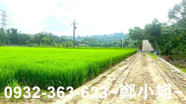 龍潭農地-8