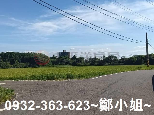 大園農地-1