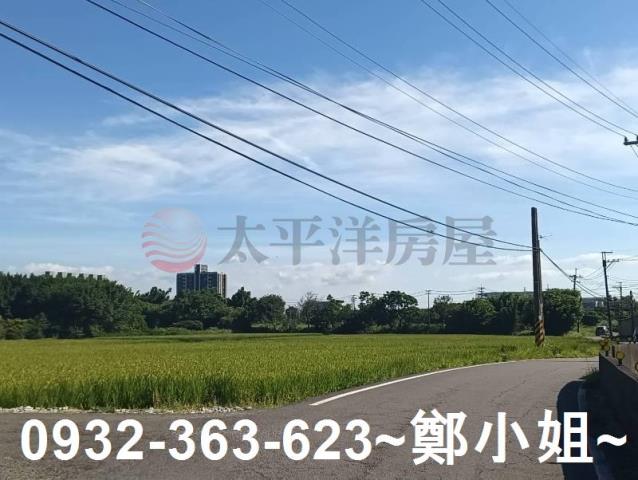 大園農地-2