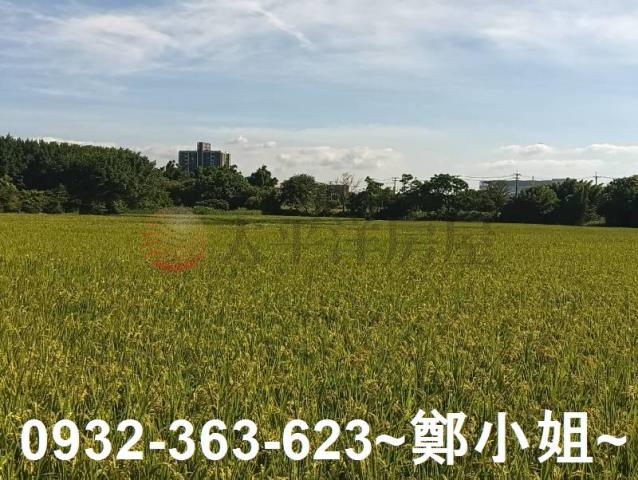 大園農地-3