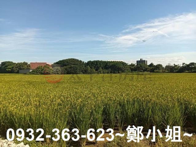 大園農地-4