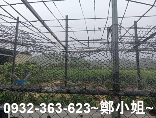 桃園農地-0