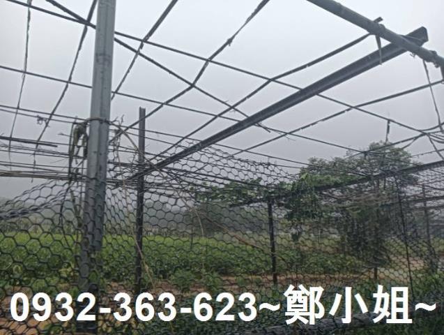桃園農地-2