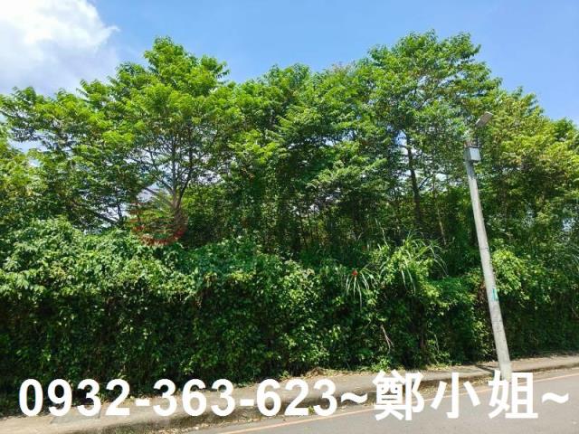 桃園農地-7