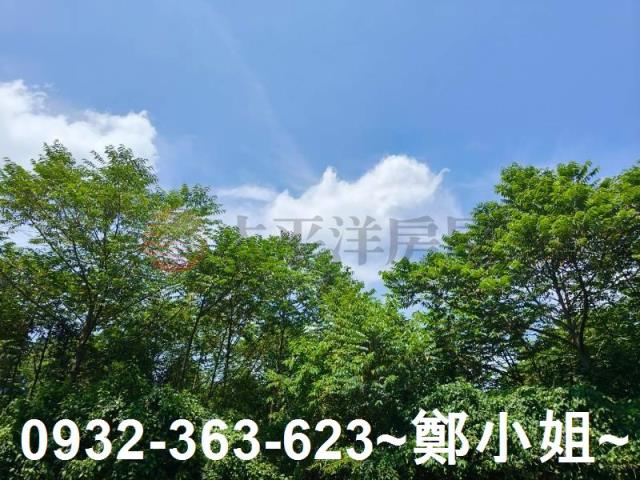 桃園農地-8