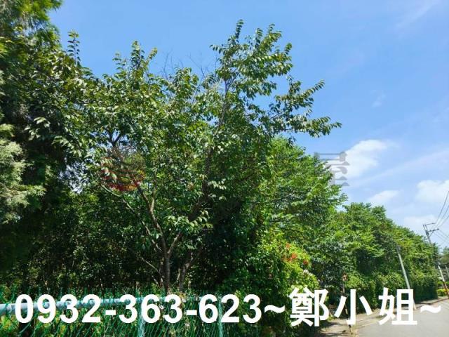 桃園農地-10