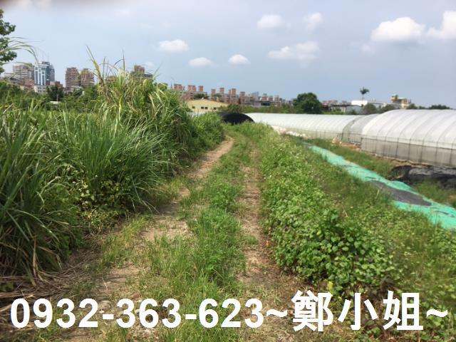 桃園區農地-0