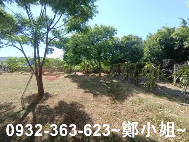 桃園農地-11