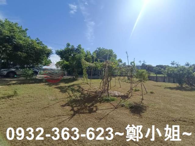 桃園農地-12