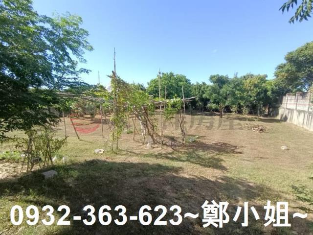 桃園農地-14