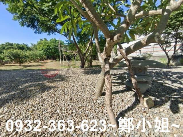 桃園農地-4