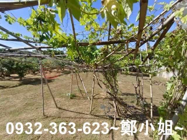 桃園農地-5