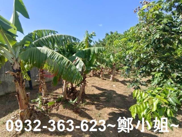 桃園農地-6