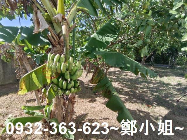 桃園農地-7