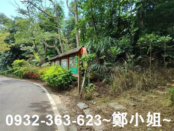 桃園農地-13