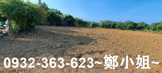 八德農地-5