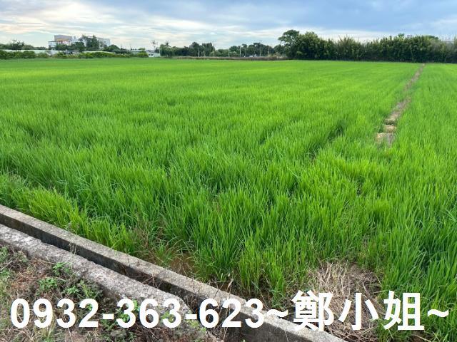 楊梅農地-2