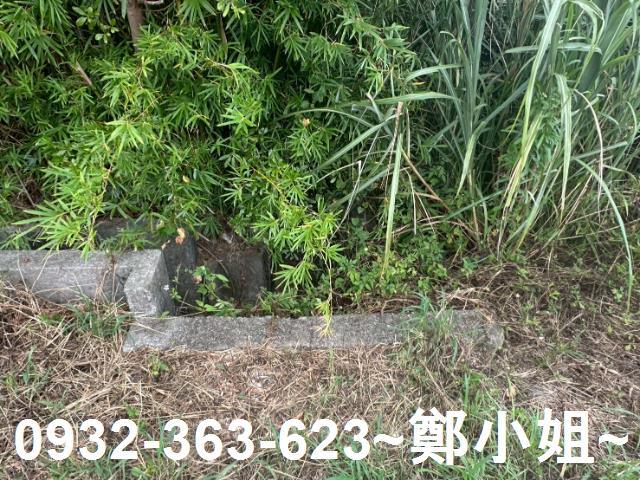楊梅農地-6