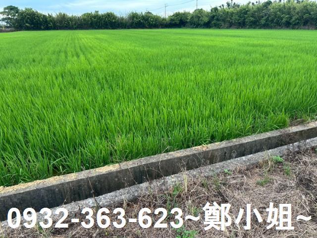 楊梅農地-9