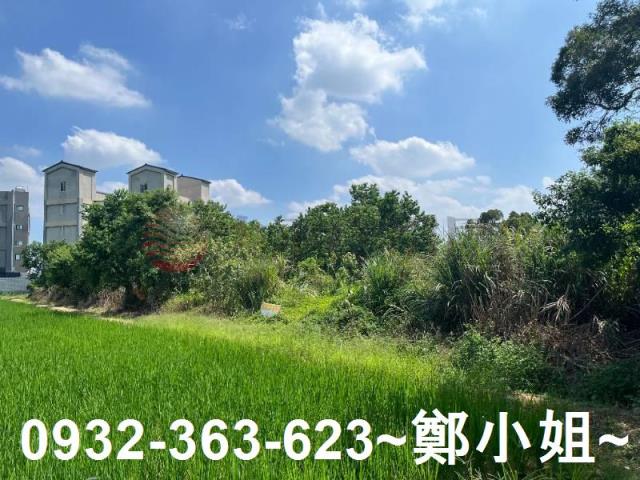 楊梅農地-11
