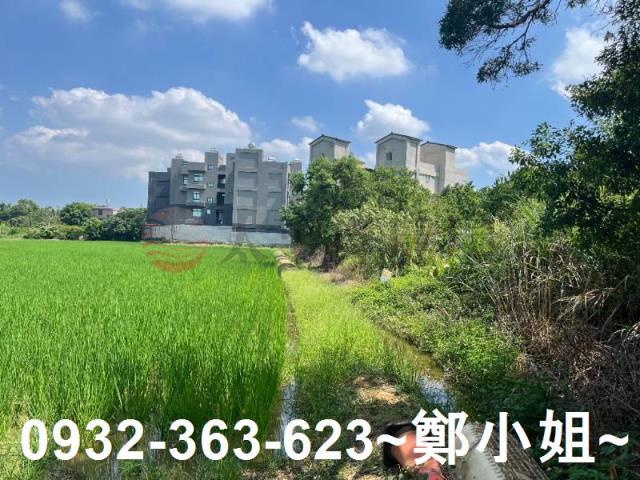 楊梅農地-5