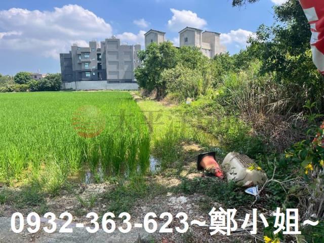 楊梅農地-7