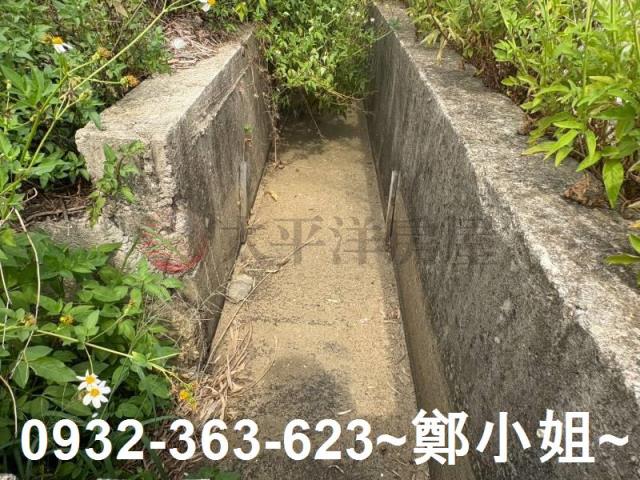 觀音農地-4