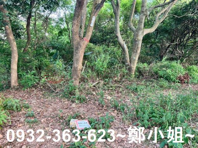 桃園區農地-2