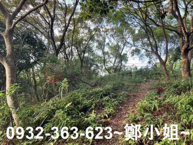 桃園區農地-3