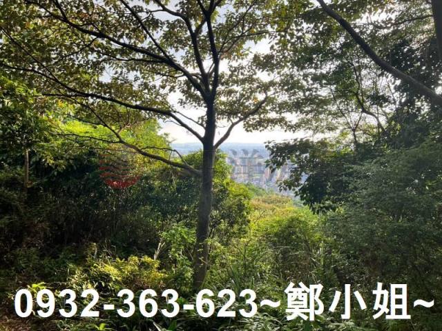 桃園區農地-4