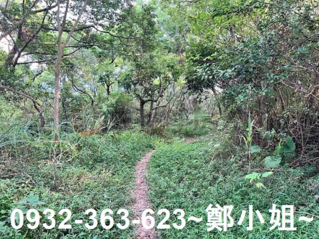 桃園區農地-5
