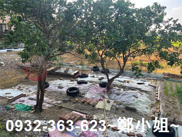 桃園農地-1