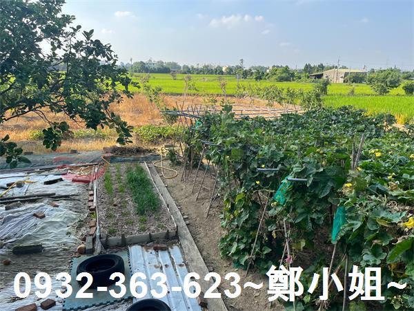 桃園農地-2