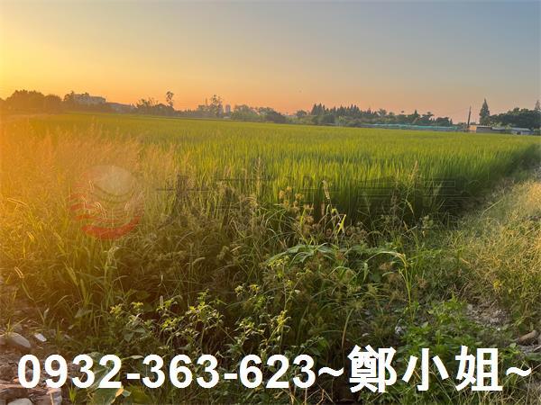 桃園農地-1